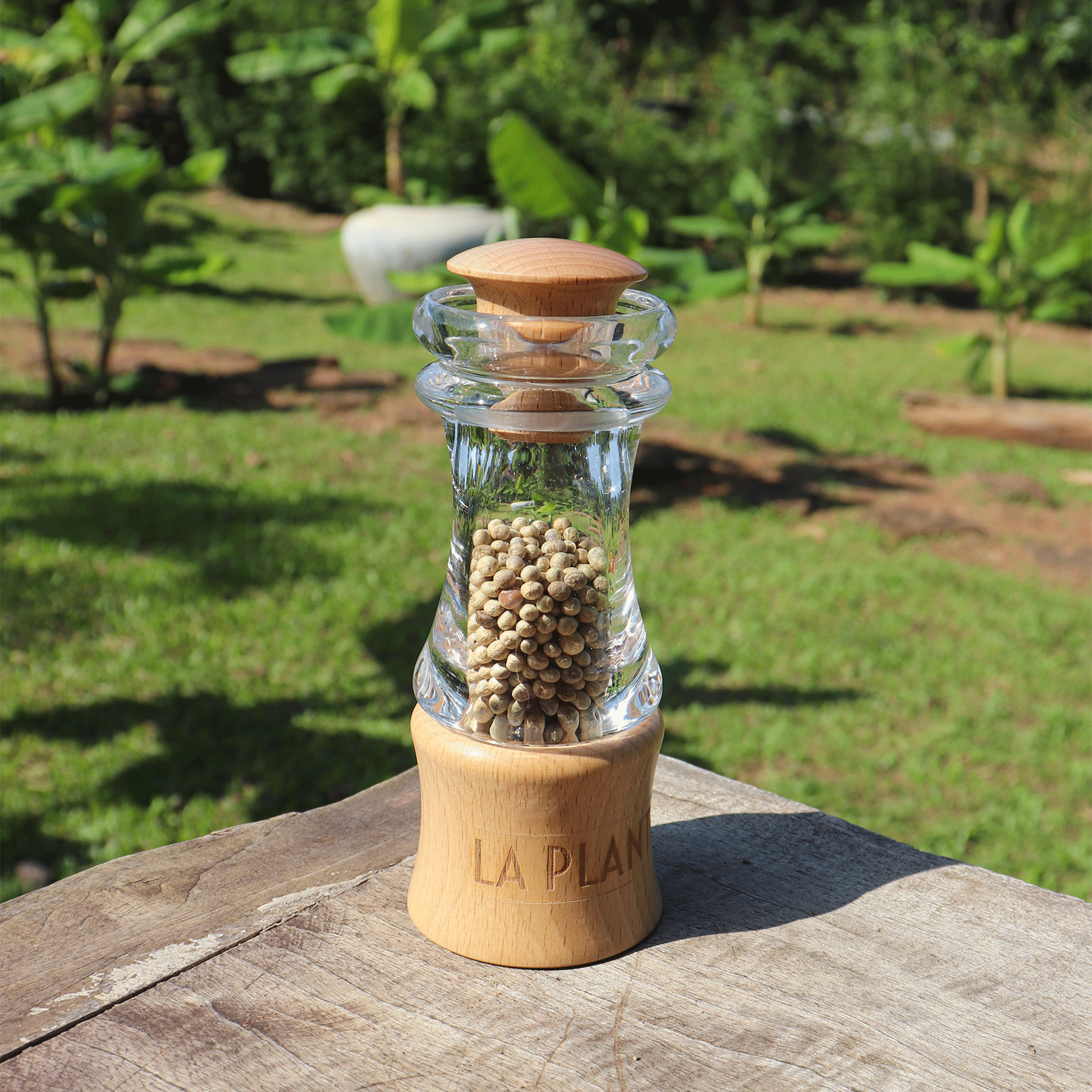 moulin acrylique rempli de poivre blanc