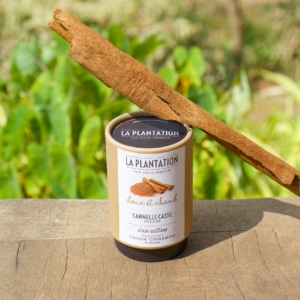 tube alimentaire en kraft de cannelle en poudre