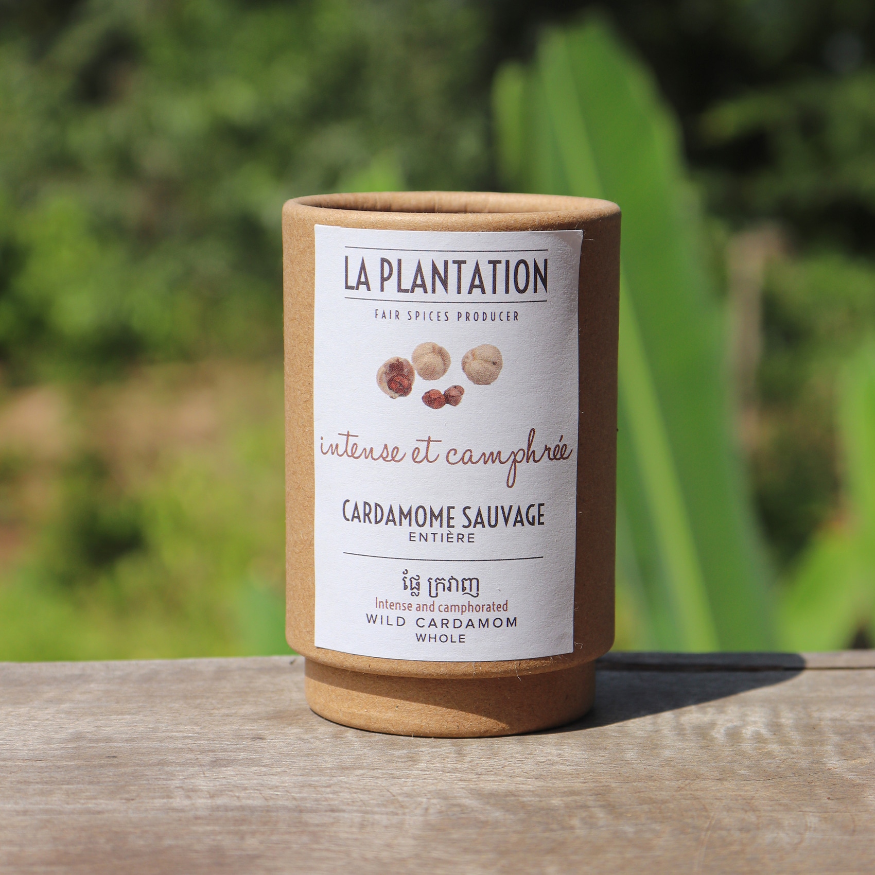 tube alimentaire en kraft de cardamomes