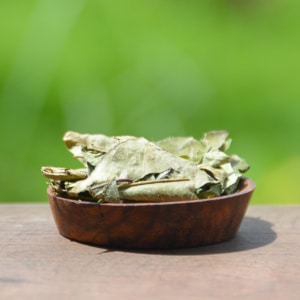 feuilles de curry dans un bol