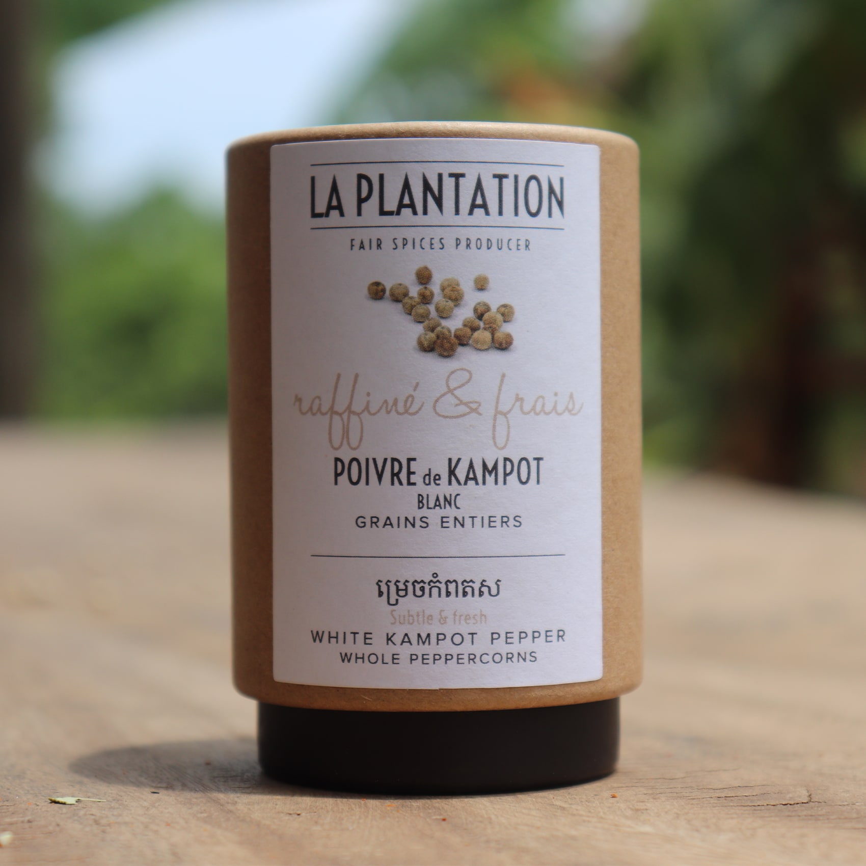 tube en kraft de poivres de Kampot blanc