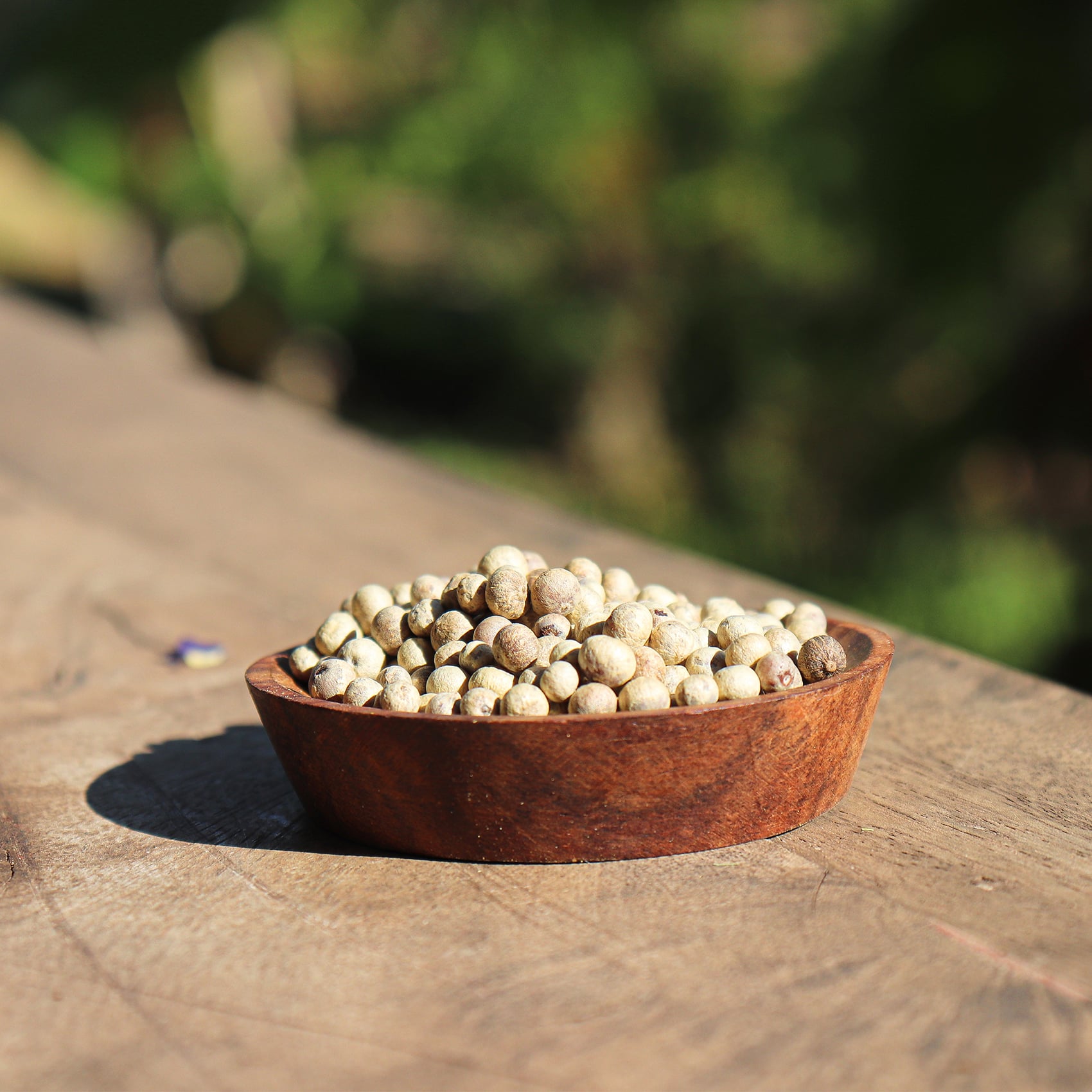 grains de poivre blancs fumé dans un bol