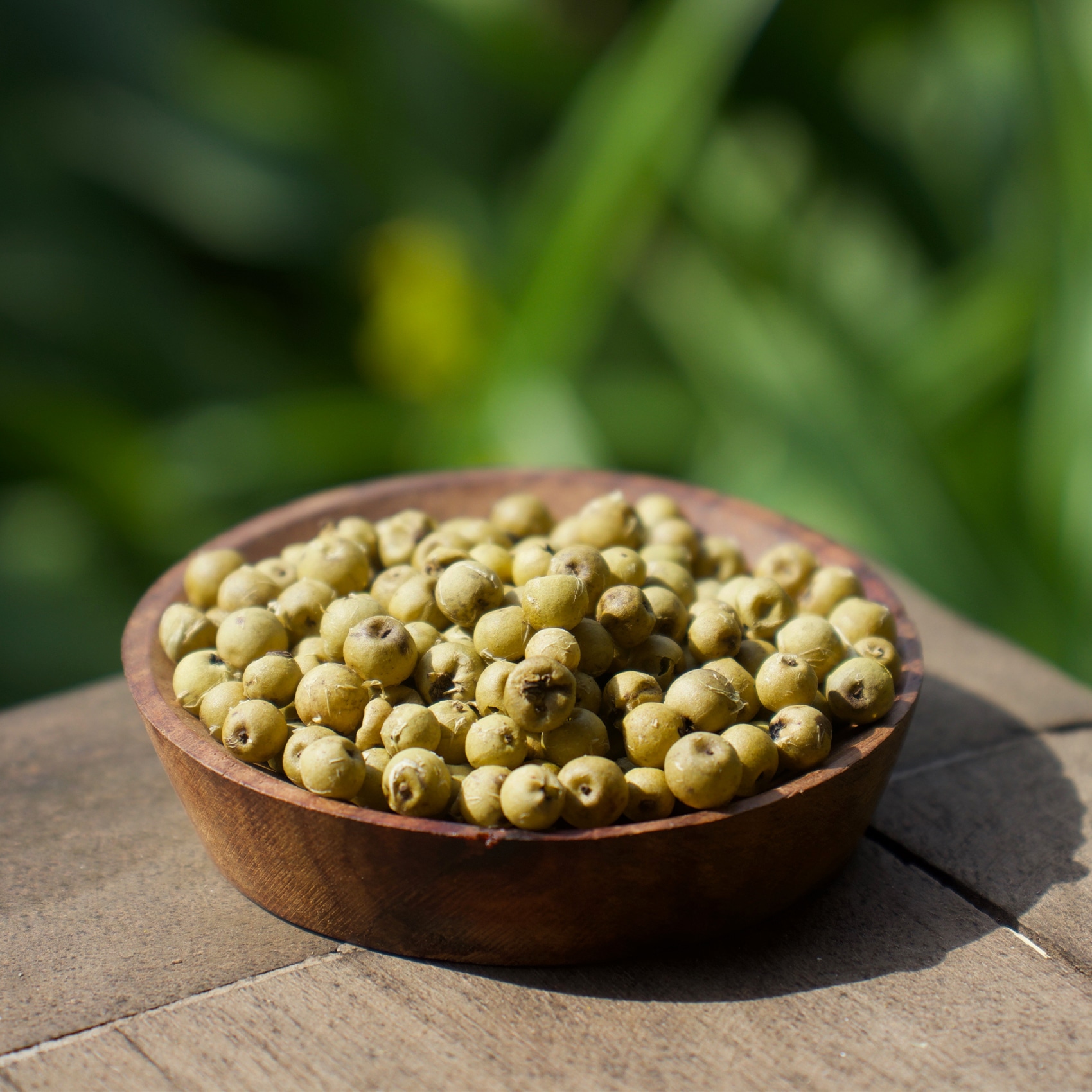 grains de poivre de Kampot vert déshydraté
