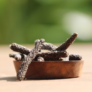 poivre long de java fermenté au sel