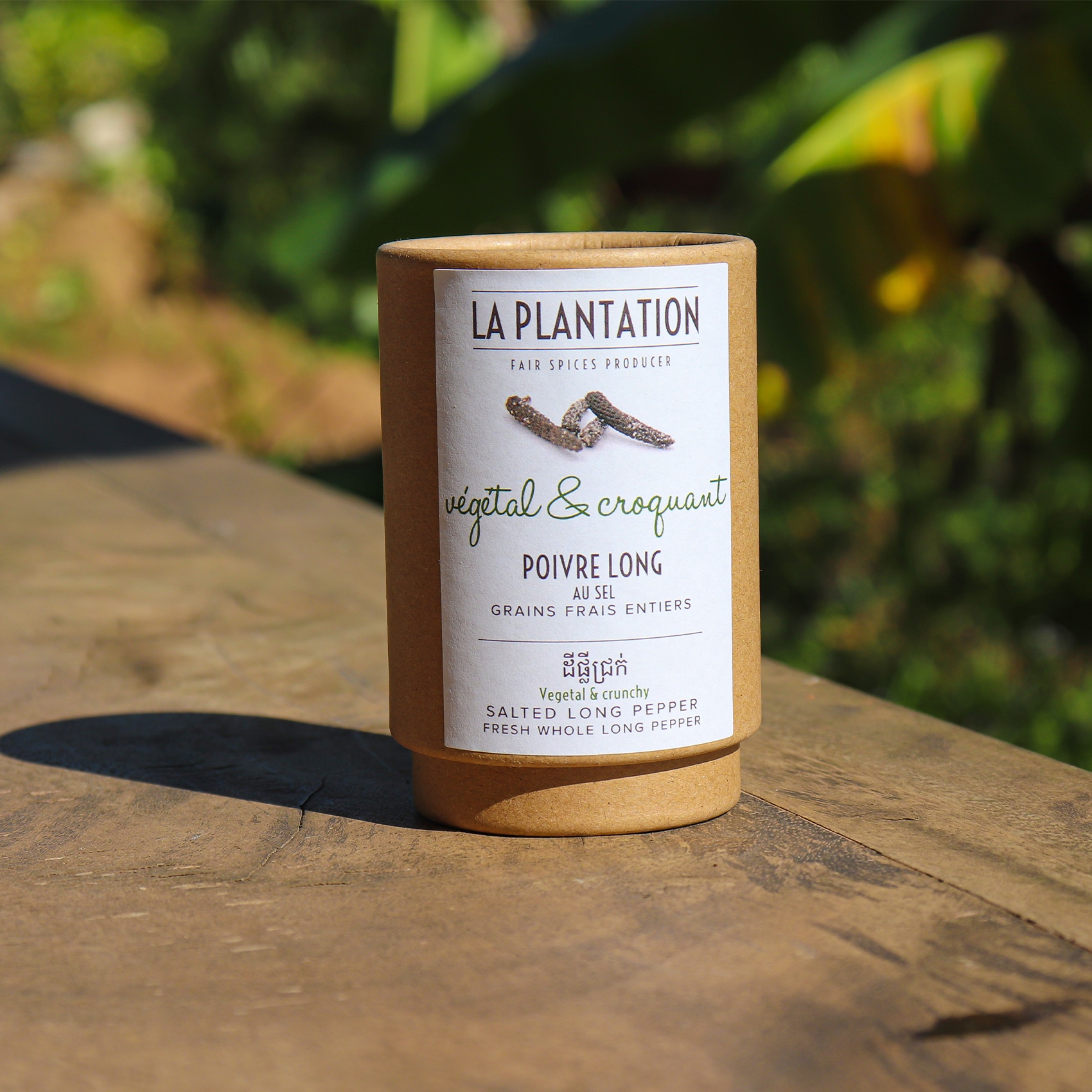 tube en kraft de poivre long fermenté au sel