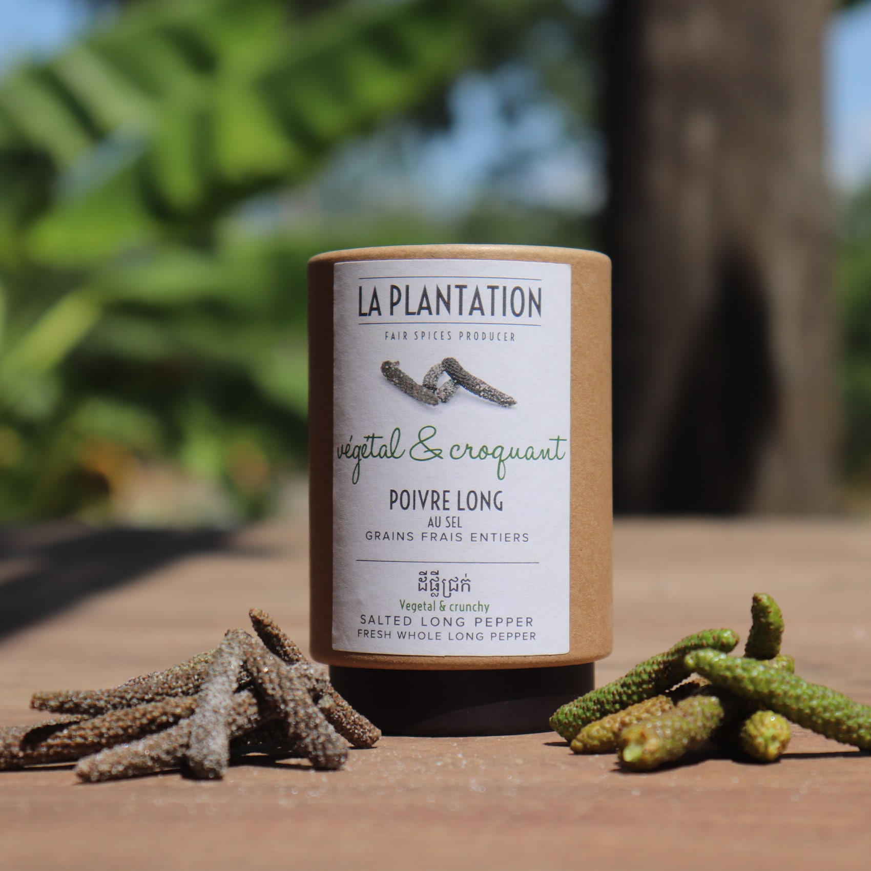poivre long de java sec et en maturation