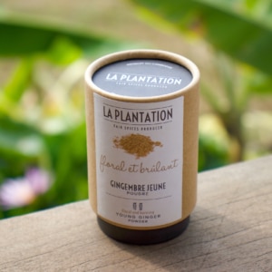 tube alimentaire en kraft contenant de la poudre de gingembre