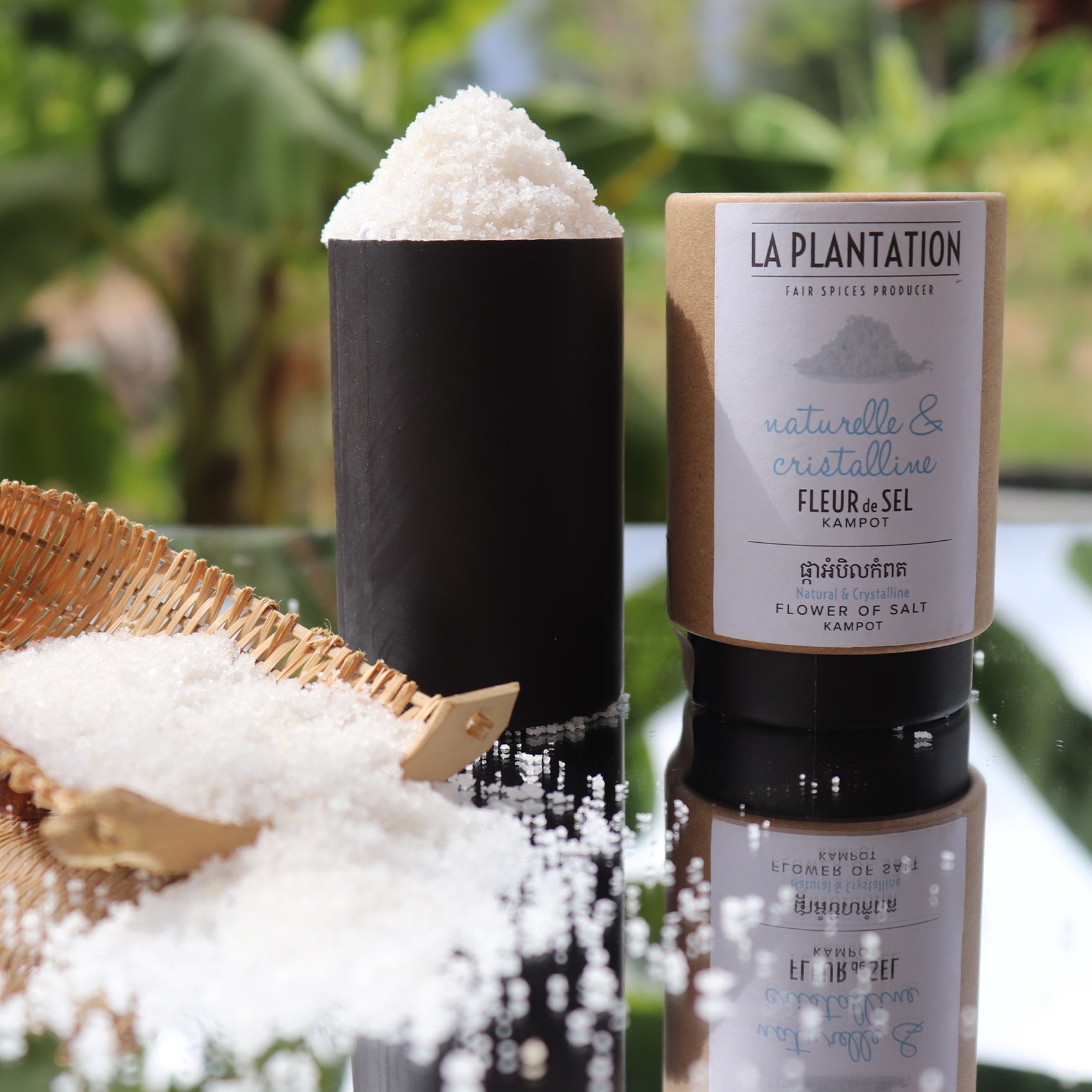 cristaux de fleur de sel de kampot éparpillés