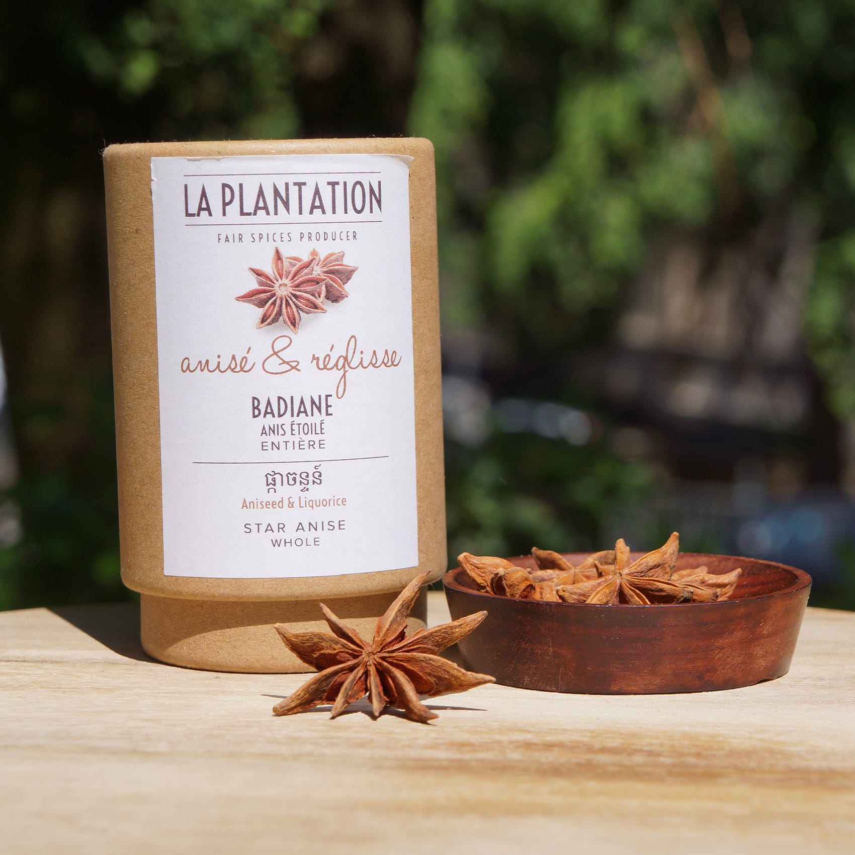 Badiane ou anis étoilé disponible en tube