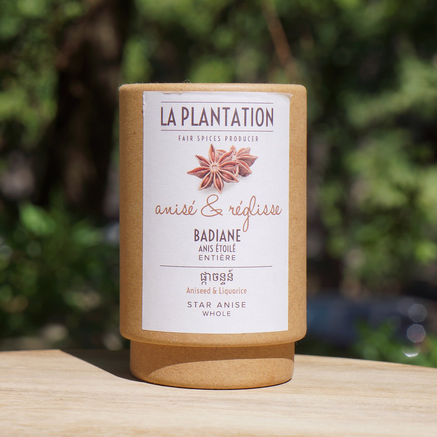 Badiane ou anis étoilé disponible en tube