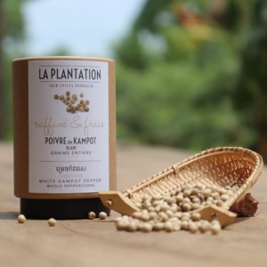 Le Poivre de Kampot Blanc, l'essence du poivre