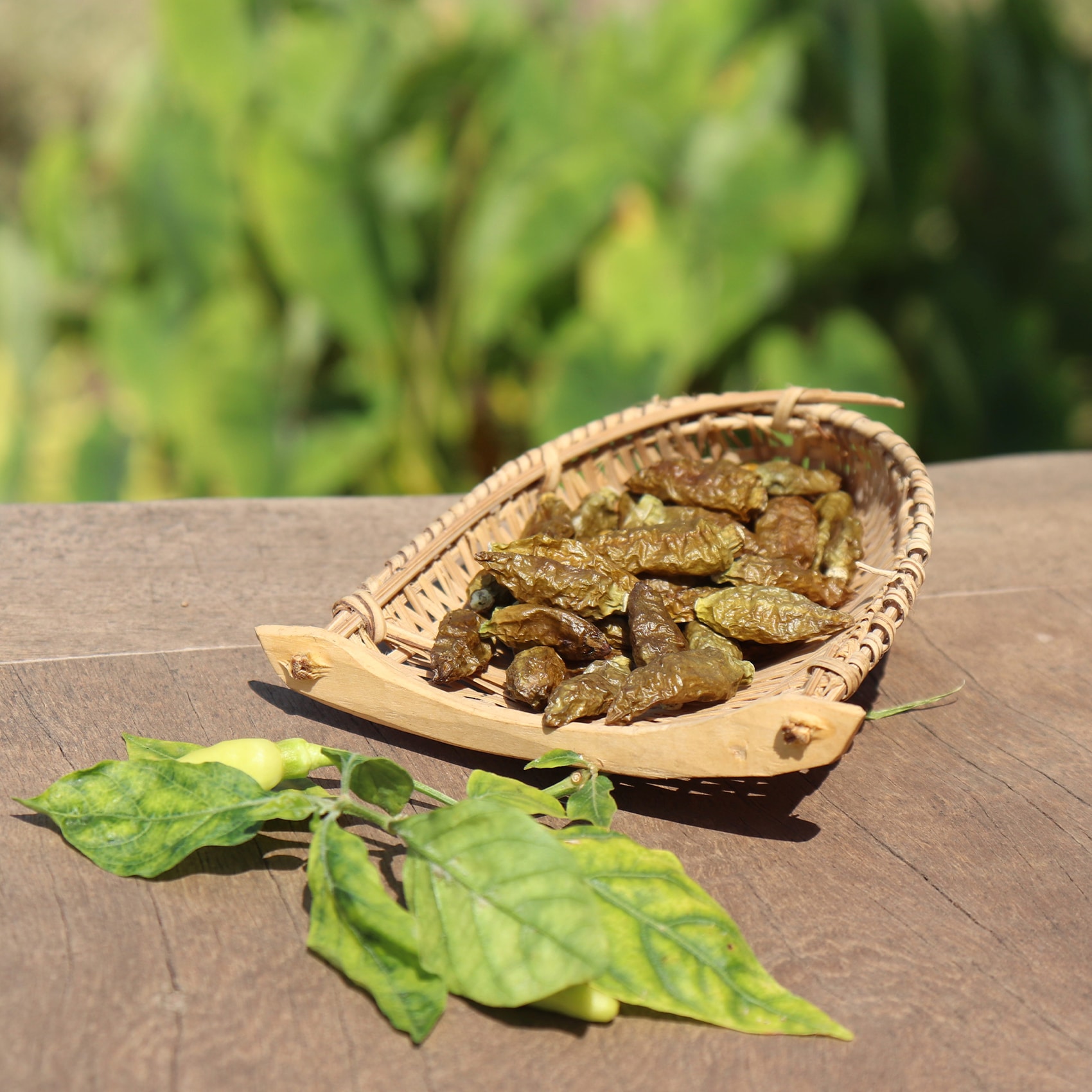 piments oiseaux verts entiers