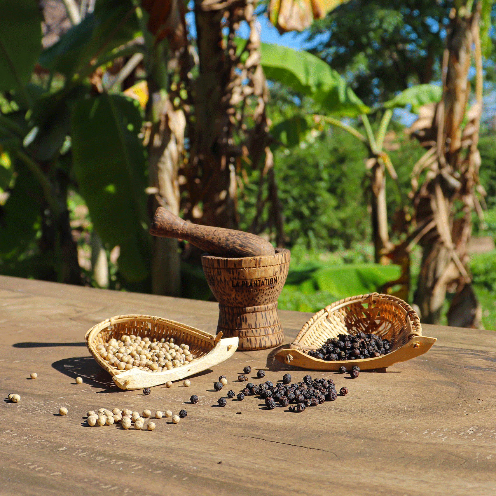 épices éparpillés et mortier en bois