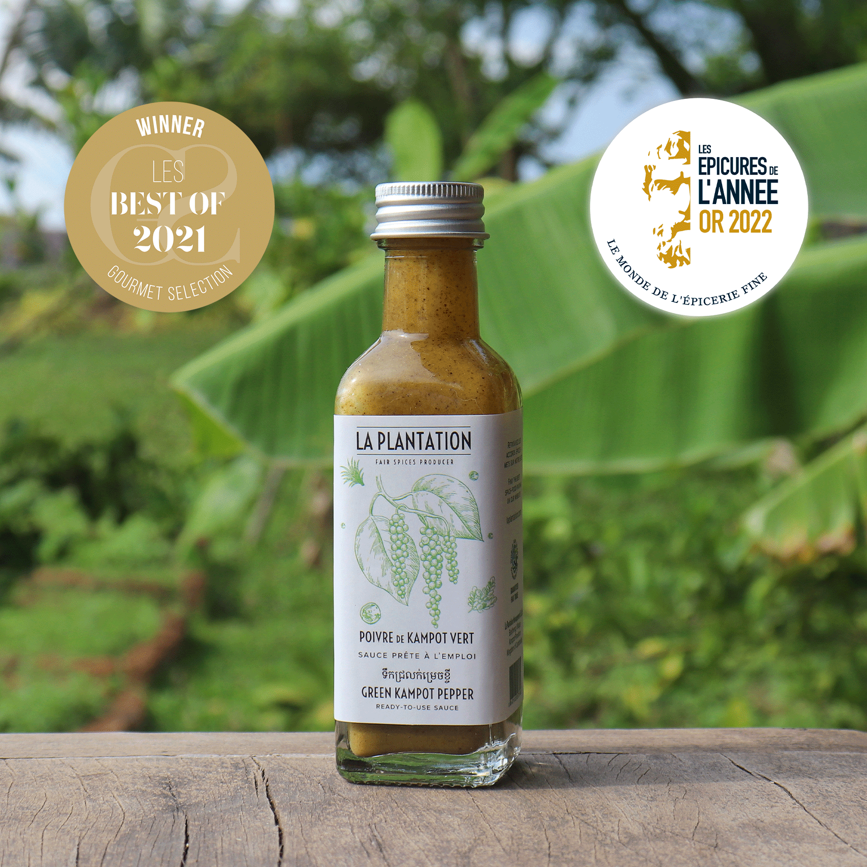 sauce au poivre de kampot vert dans un décor tropical
