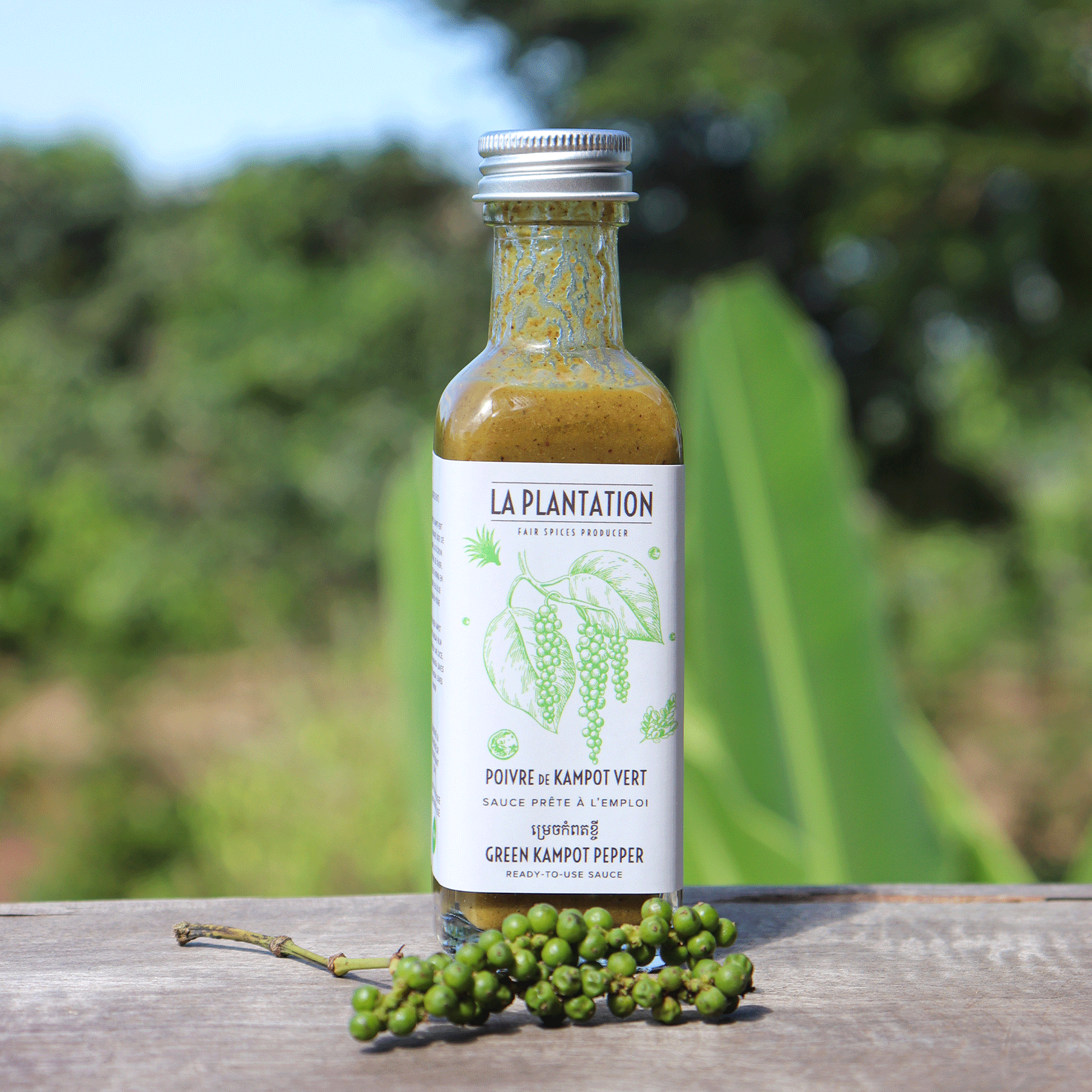 sauce au poivre de kampot vert et grappes de poivres verts