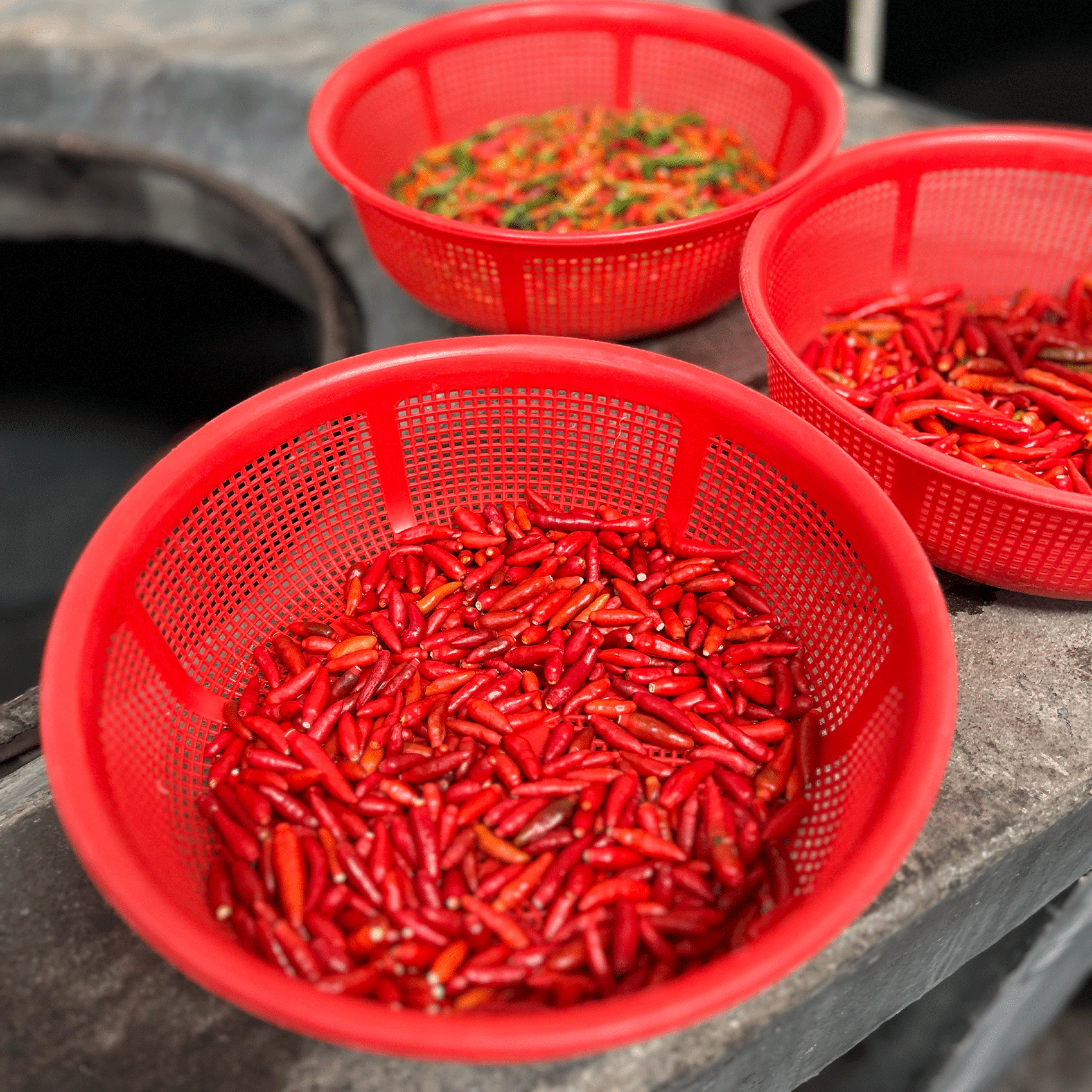 rote Chilischoten in einer Schüssel