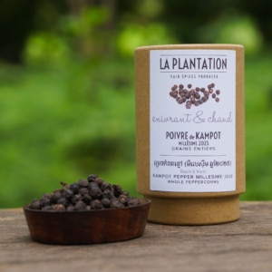 Poivre de Kampot Millésime 2025-un excellent cru