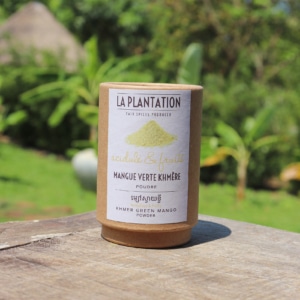 tube en kraft alimentaire du poudre de mangue