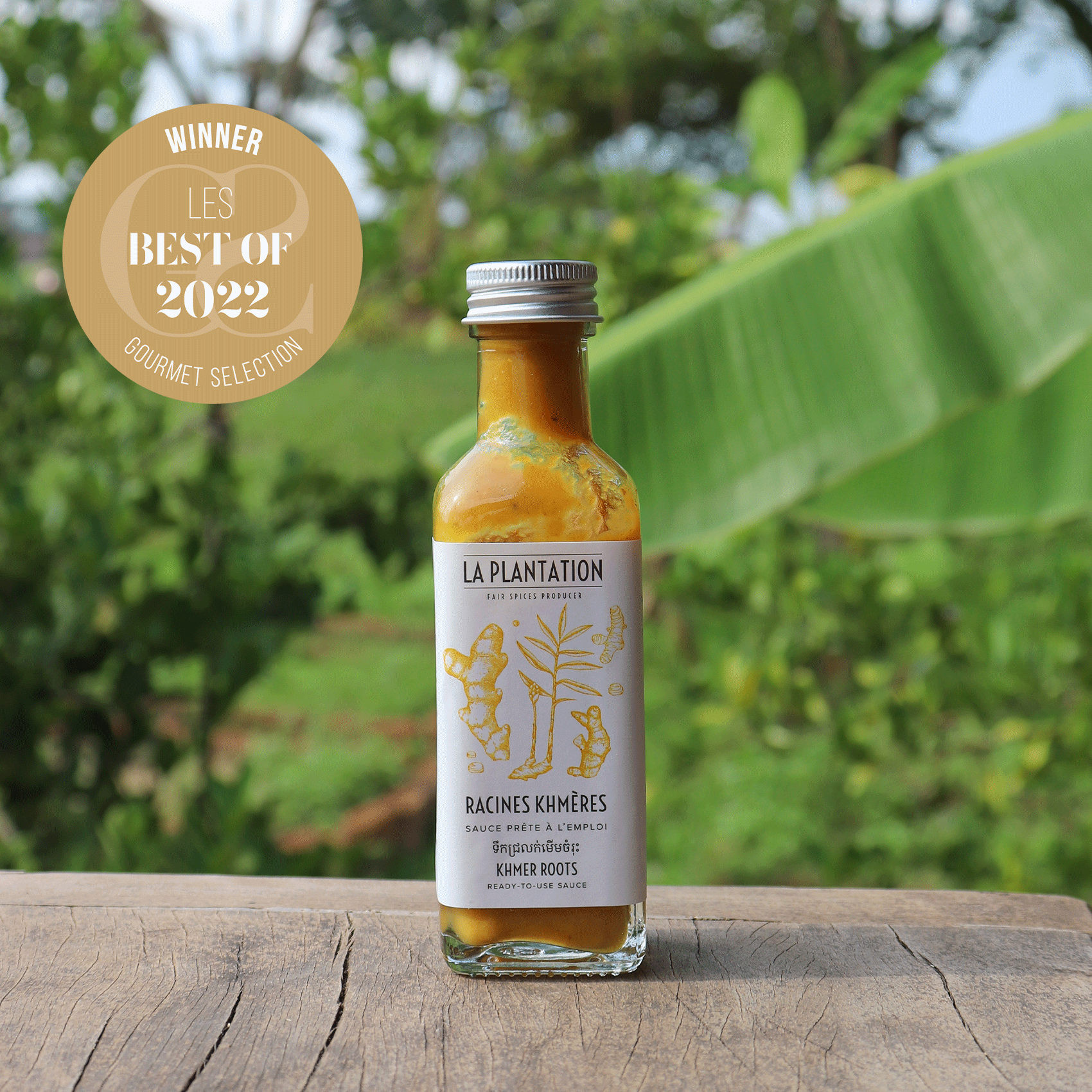 sauce aux saveurs de gingembre