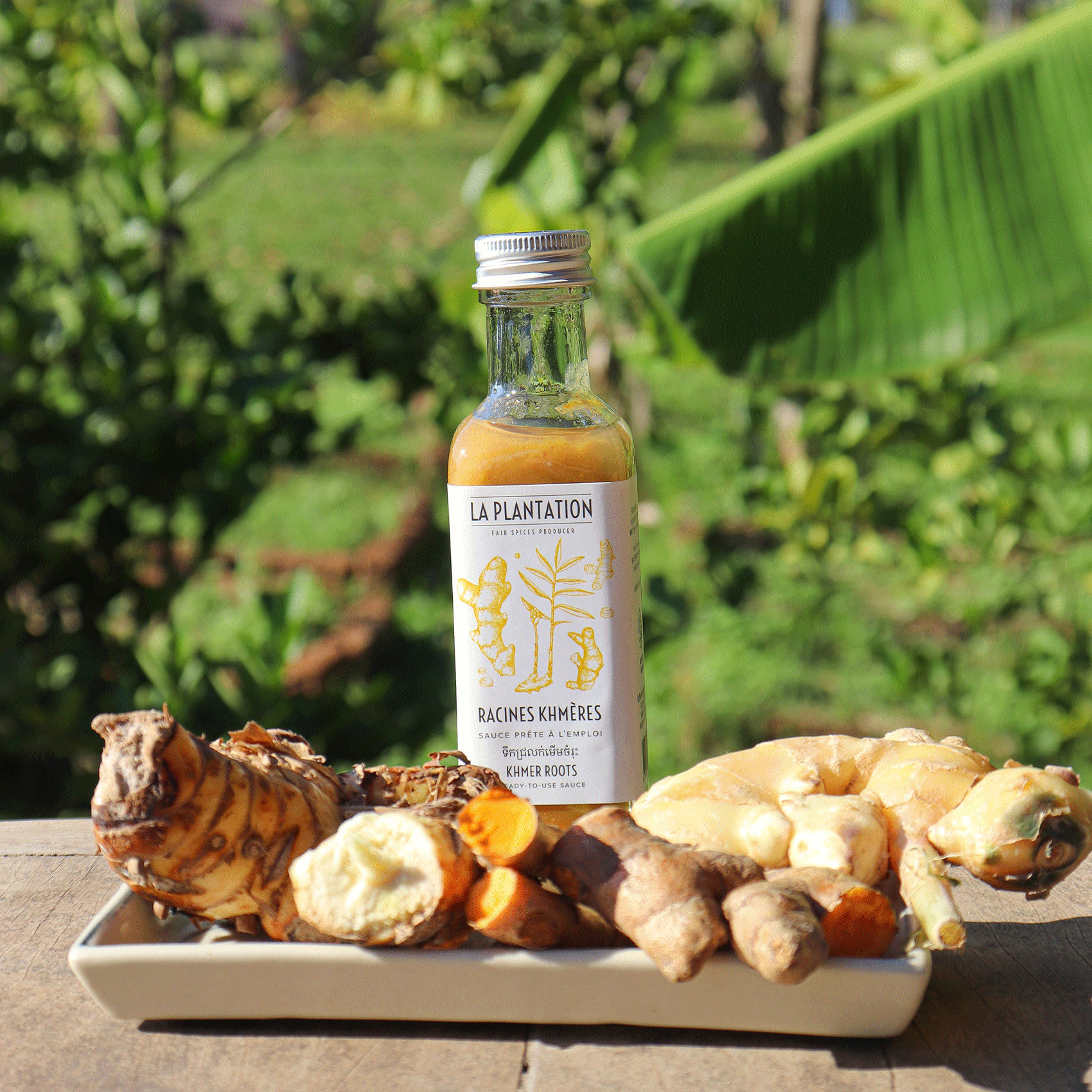 variétés de rhizome et bouteille de sauce