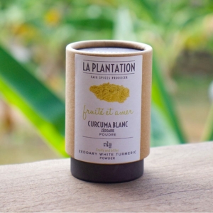 Curcuma blanc