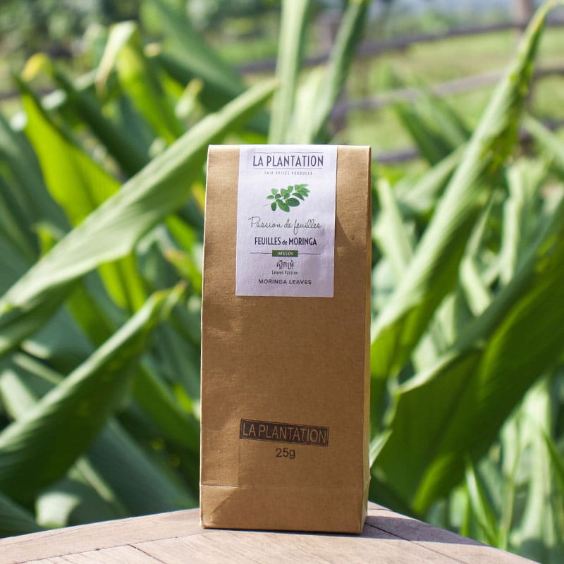 Feuilles de Moringa