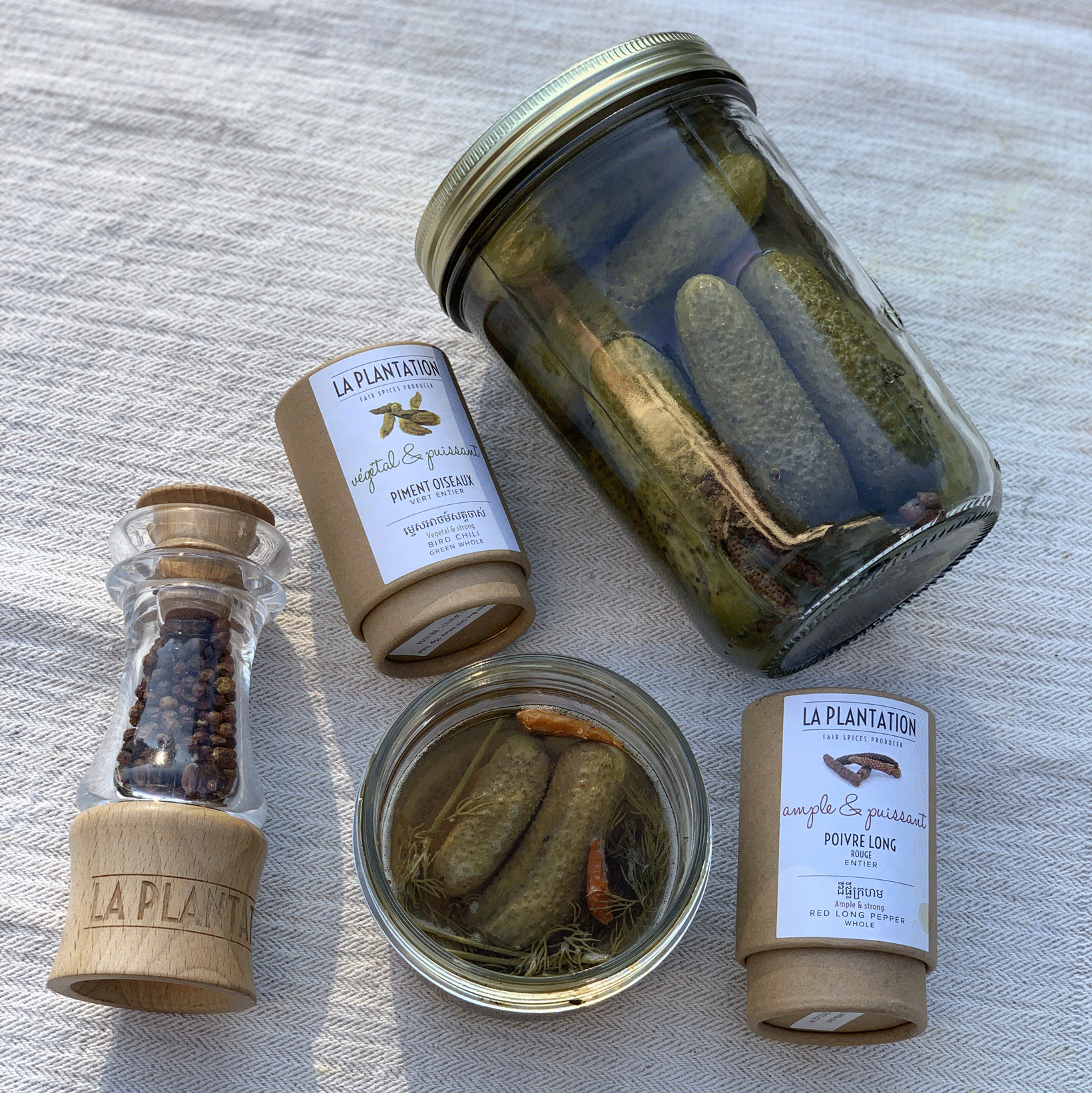 cornichons aux épices de la plantation