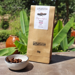 Badiane - Anis étoilé