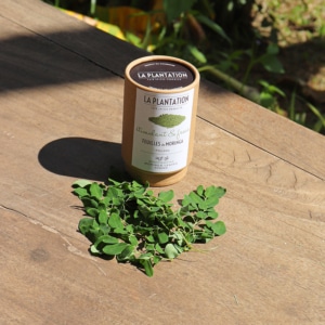Moringa en poudre