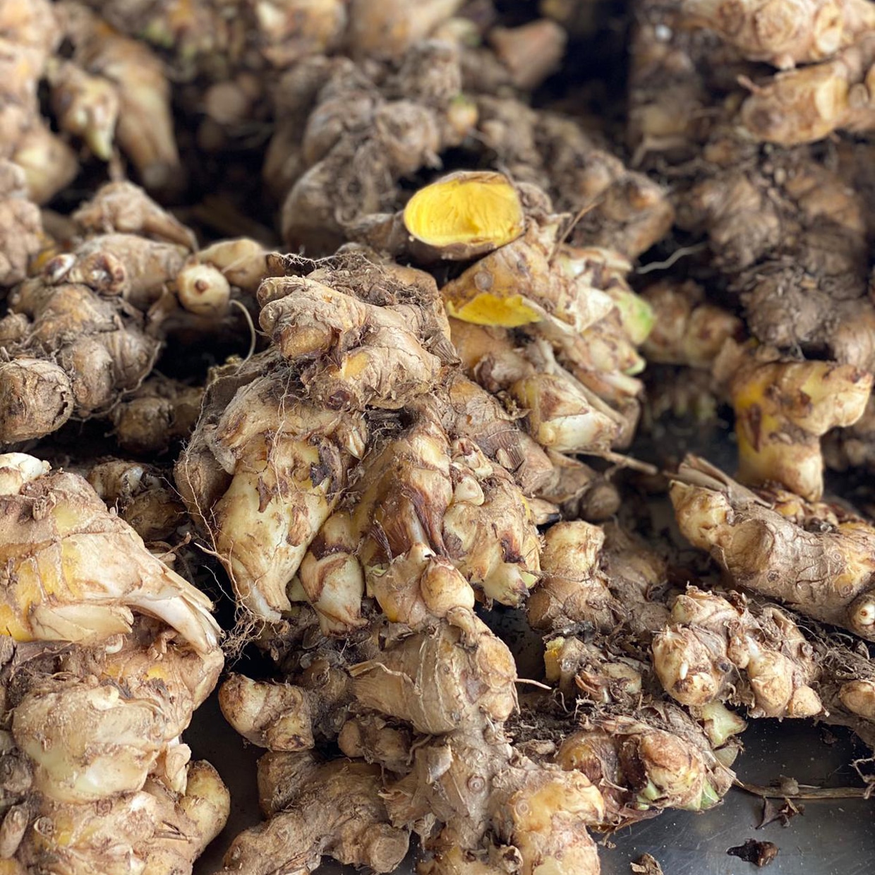Notre Curcuma : ce véritable superfood