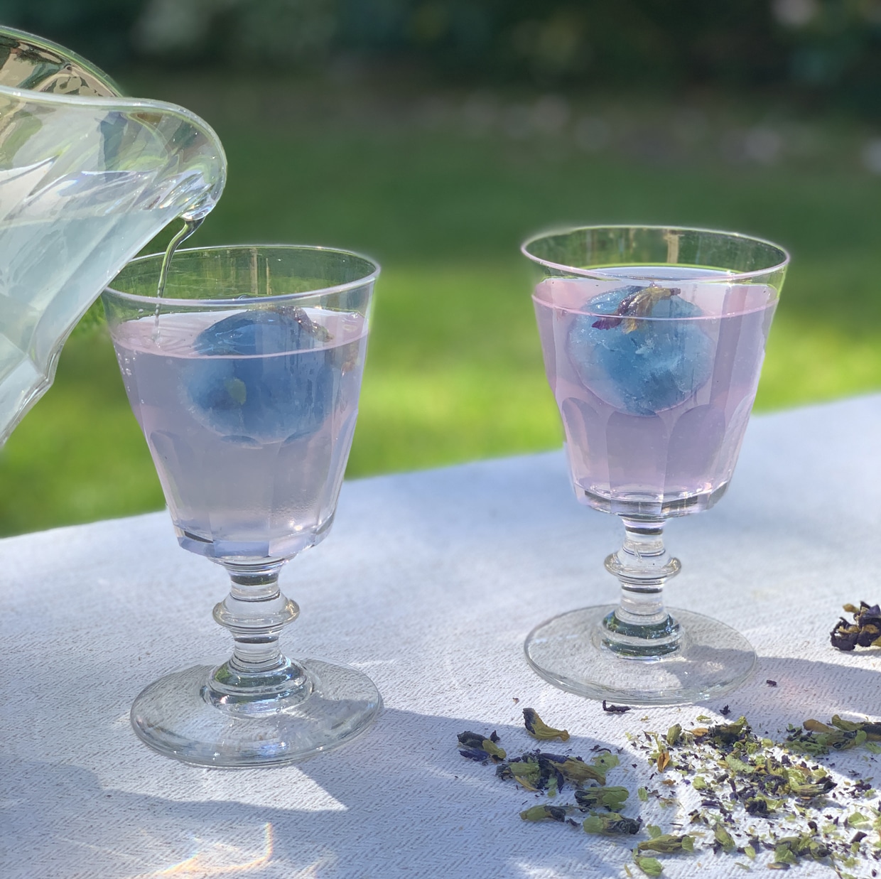 limonade aux glaçons de Fleurs de Pois Papillon 2