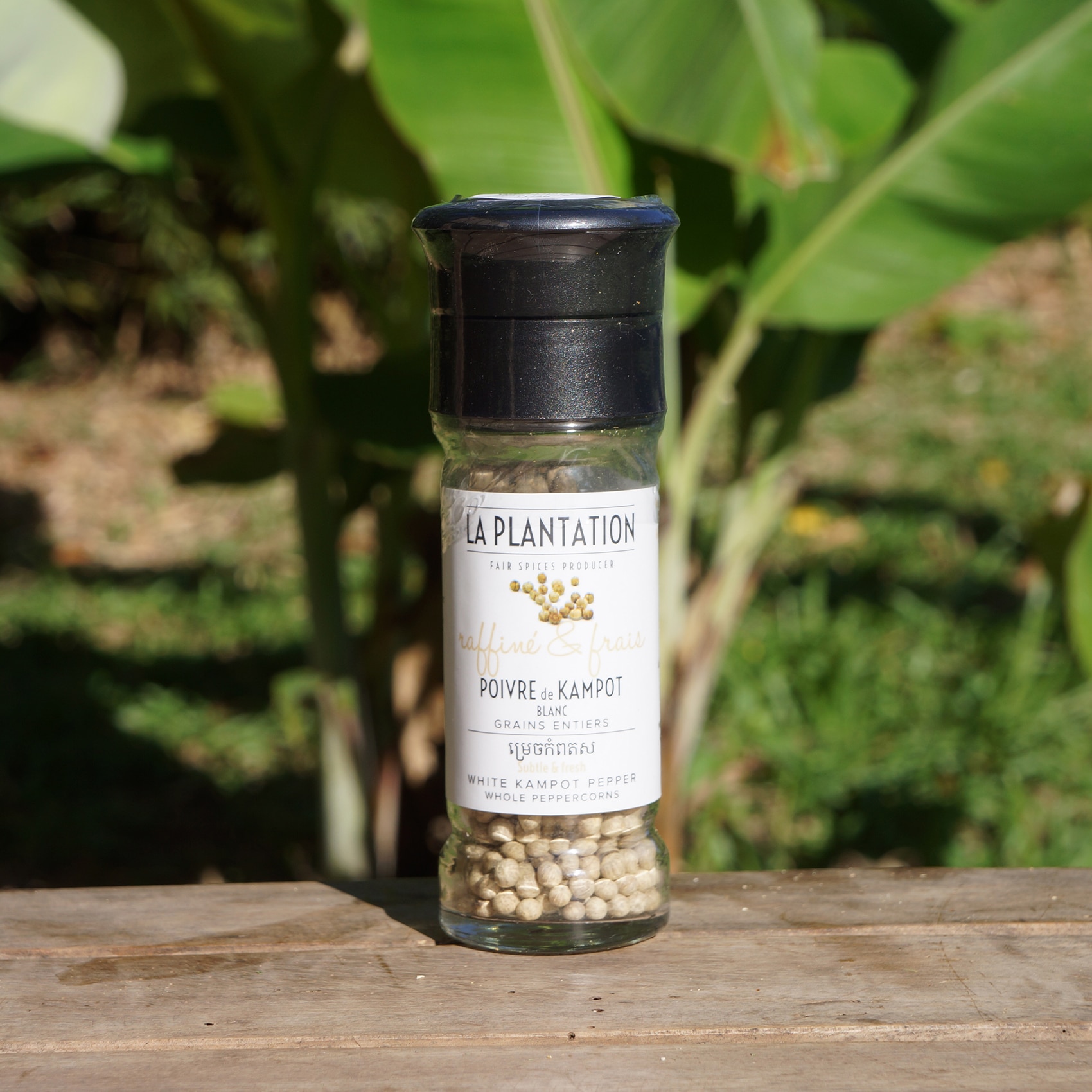 moulin en verre de poivre de kampot blanc