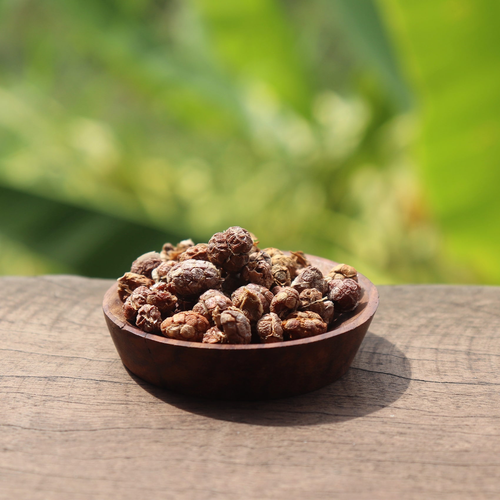 gousses de Cardamome de la forêt