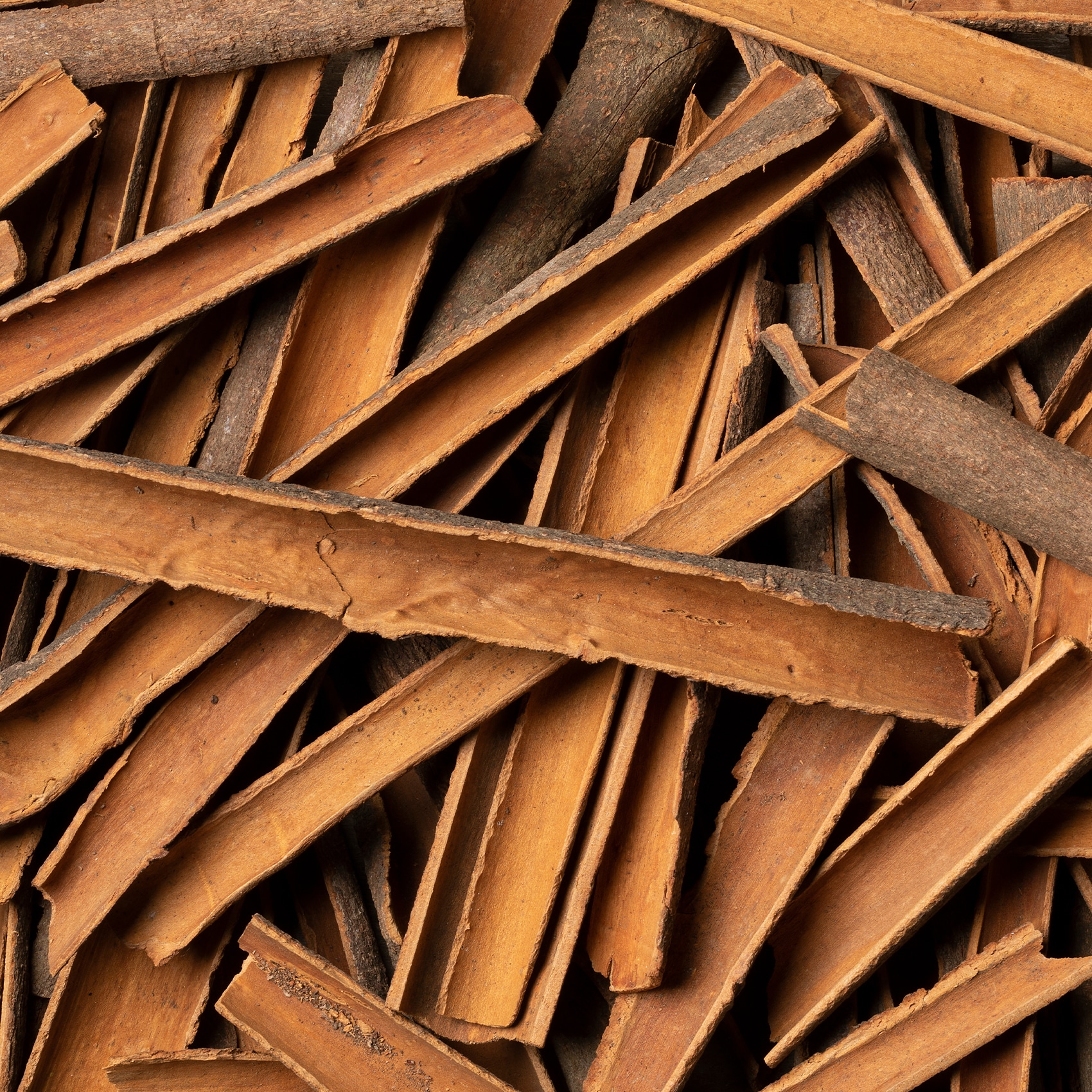 intérieur d'un baton de cannelle