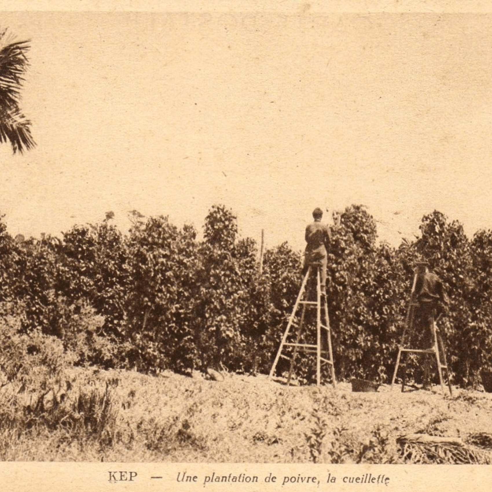 image de la région de kampot à l'époque