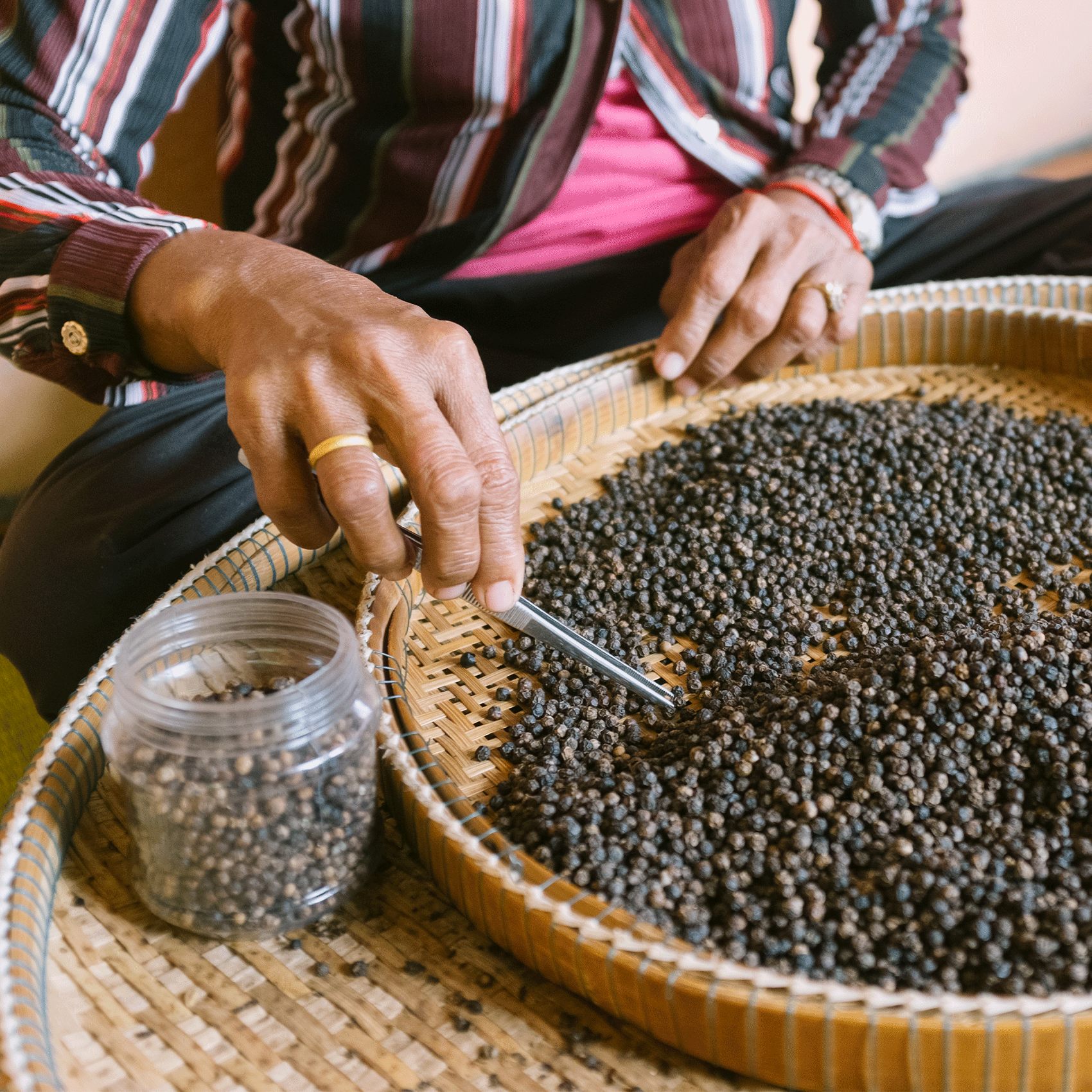 ouvrière faisant la tri des grains de poivre