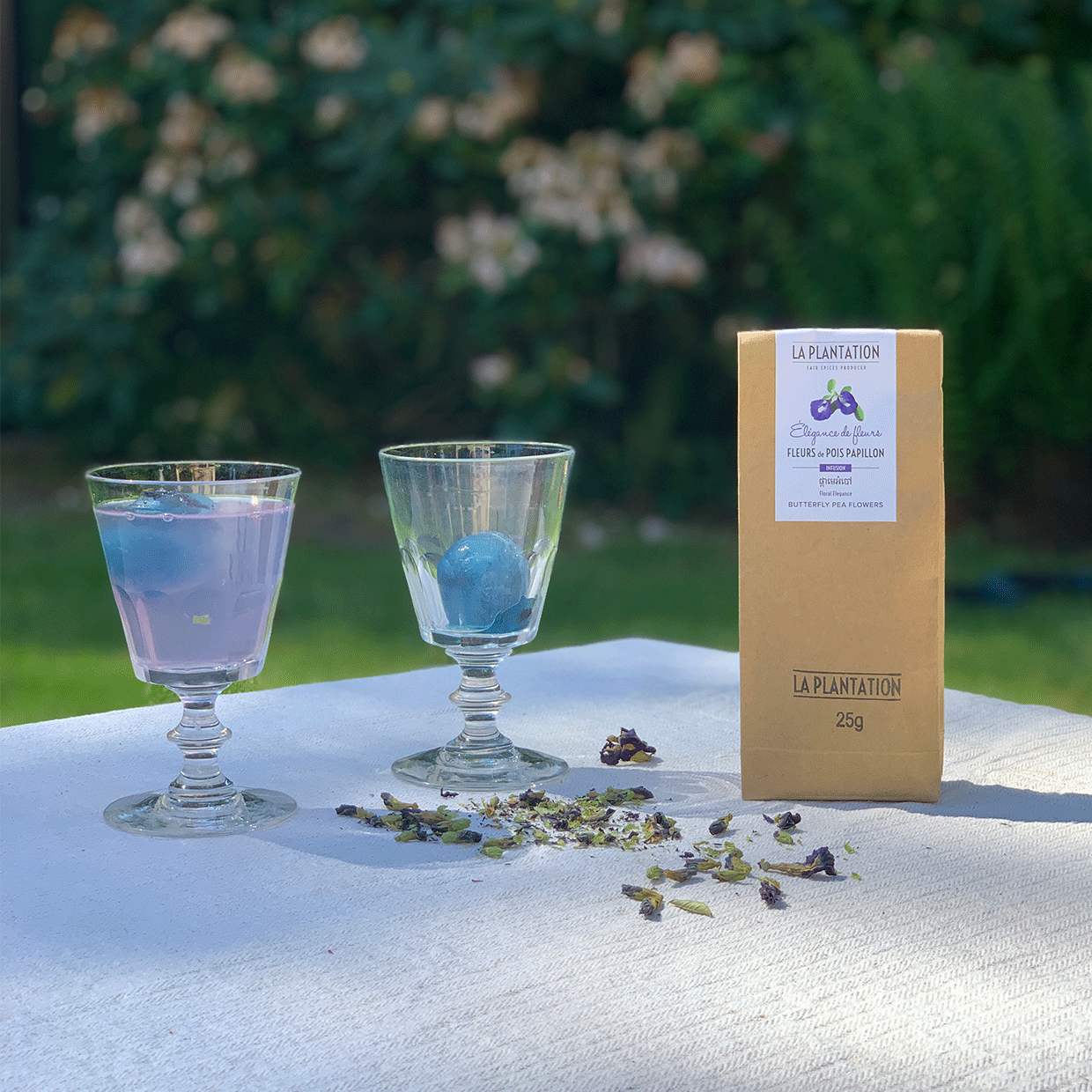 limonade aux fleurs de pois papillon