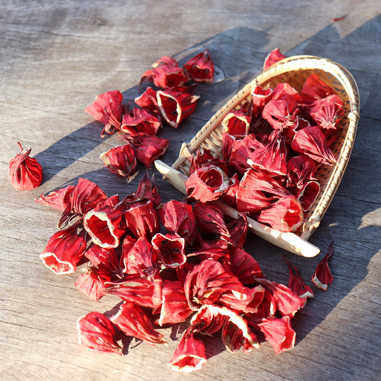 calices d'Hibiscus