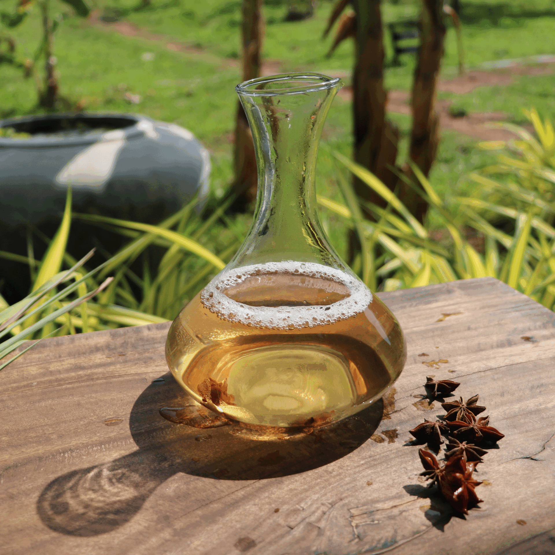 tisane fraiche dans une 