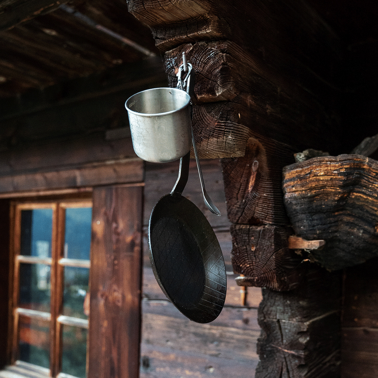 chalet en pleine nature