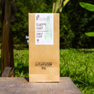 Tisane de la Forêt