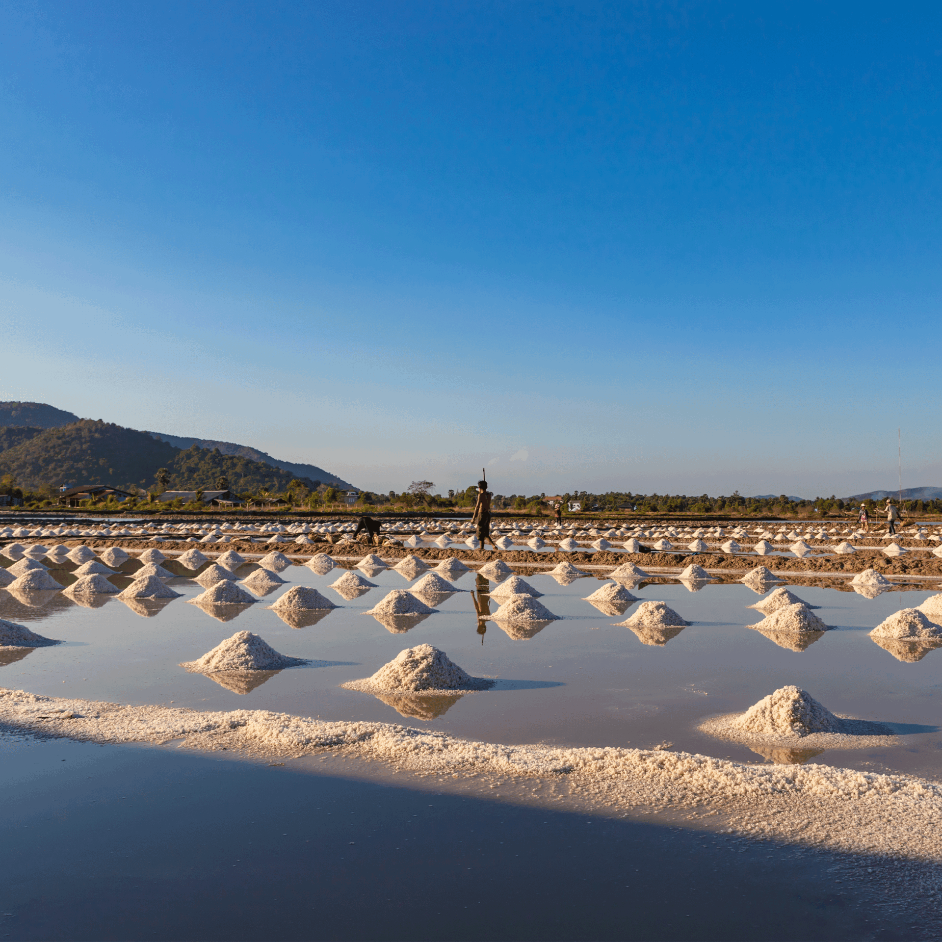 vue sur les marais salantes de Kampot