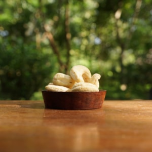 noix de cajou grand format dans un bol