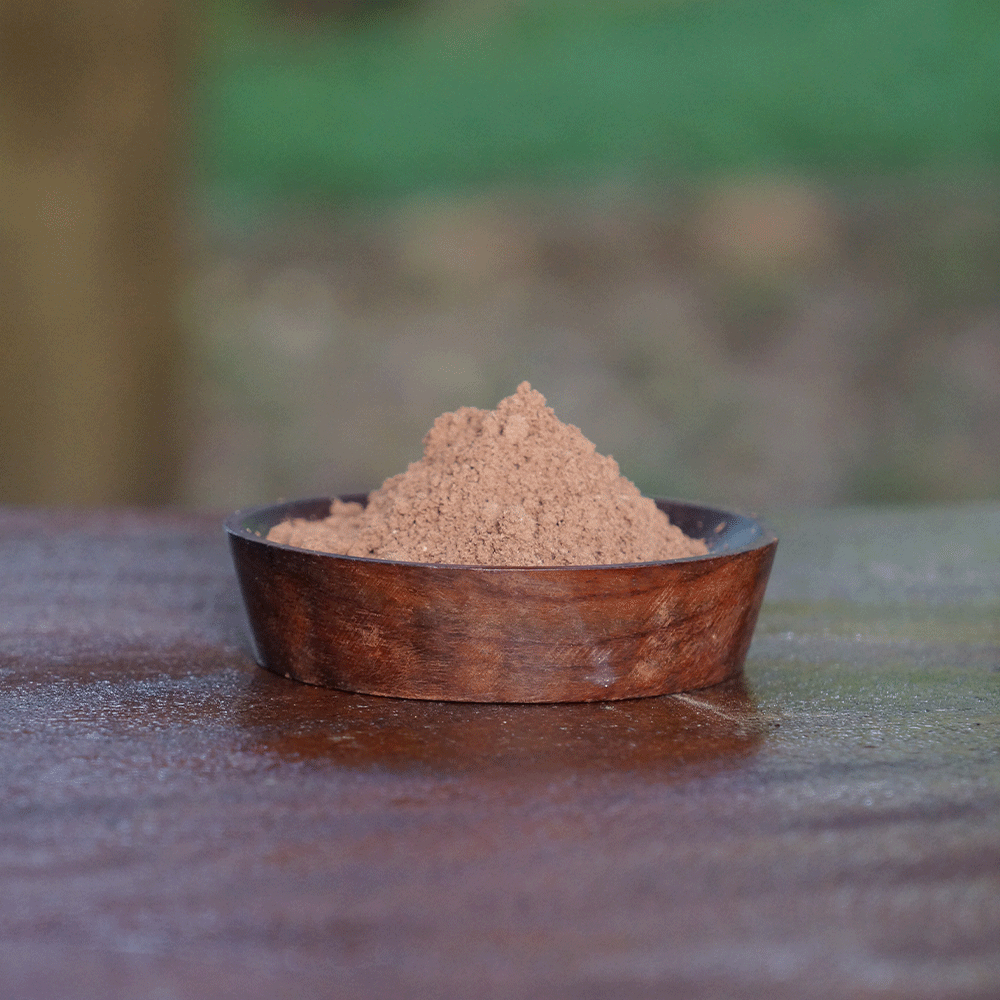 cacao maigre en poudre dans un bol