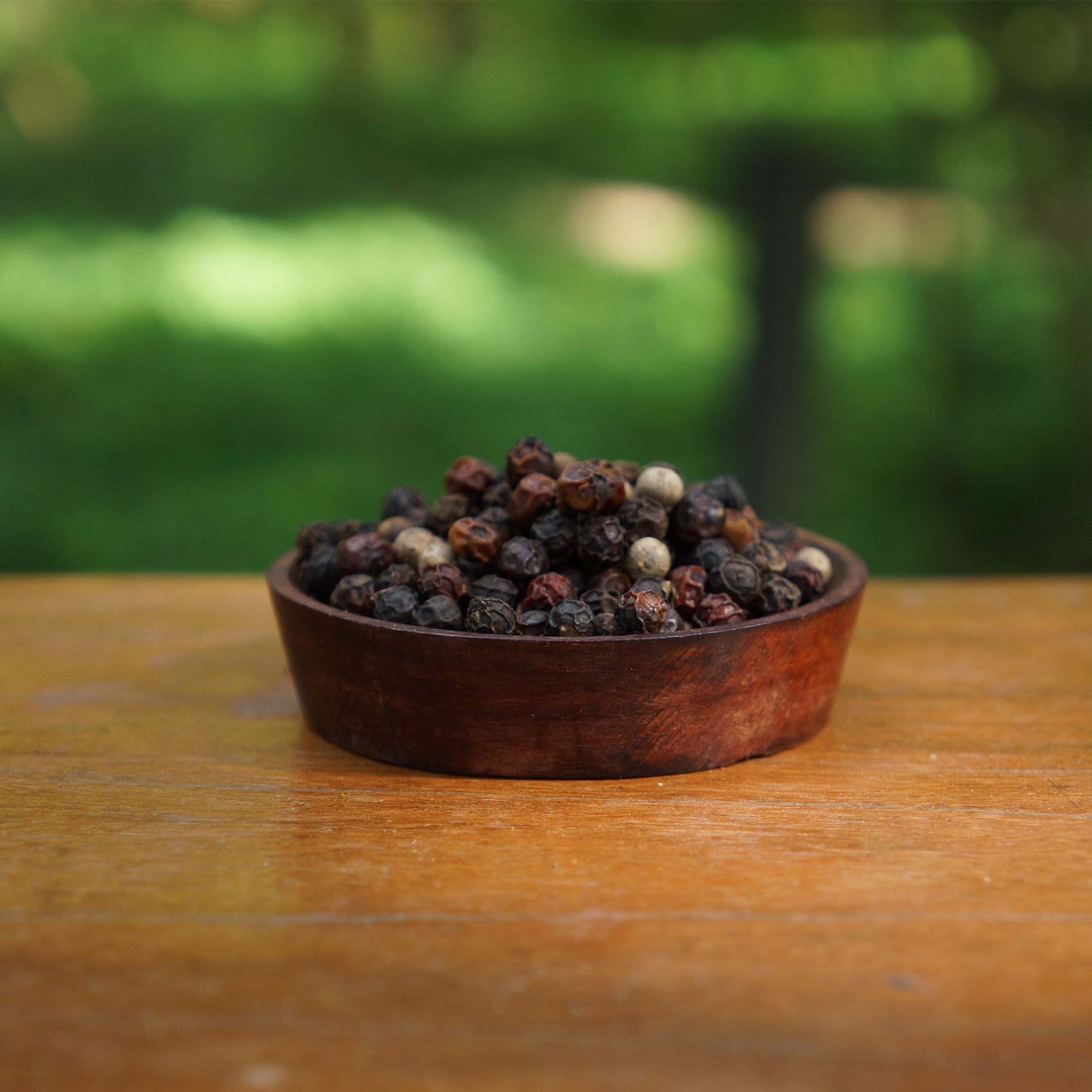 variétés de poivres de mondolkiri dans un pot
