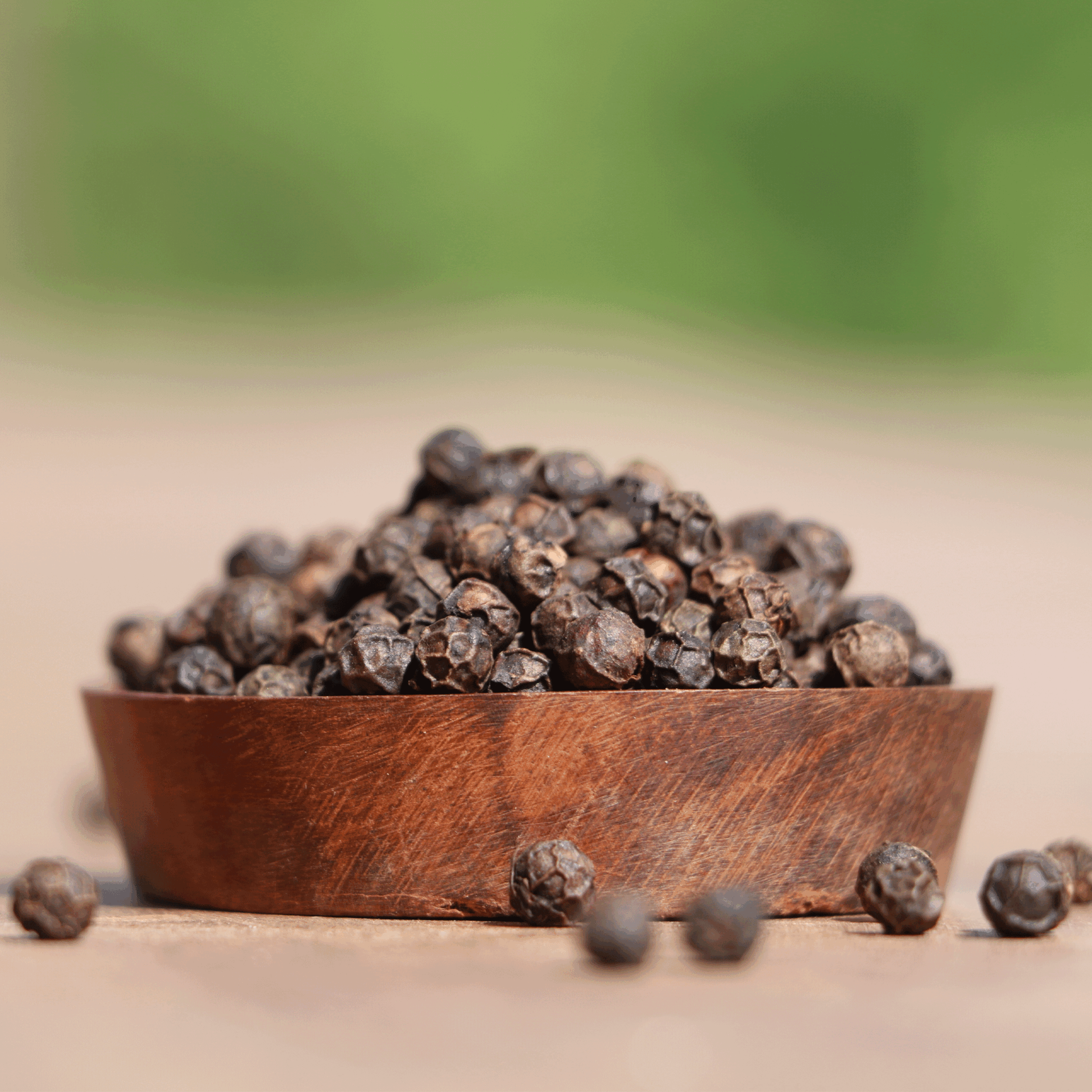 poivres piper nigrum en grains dans un bol