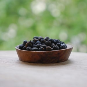 baie de verveine dans un bol