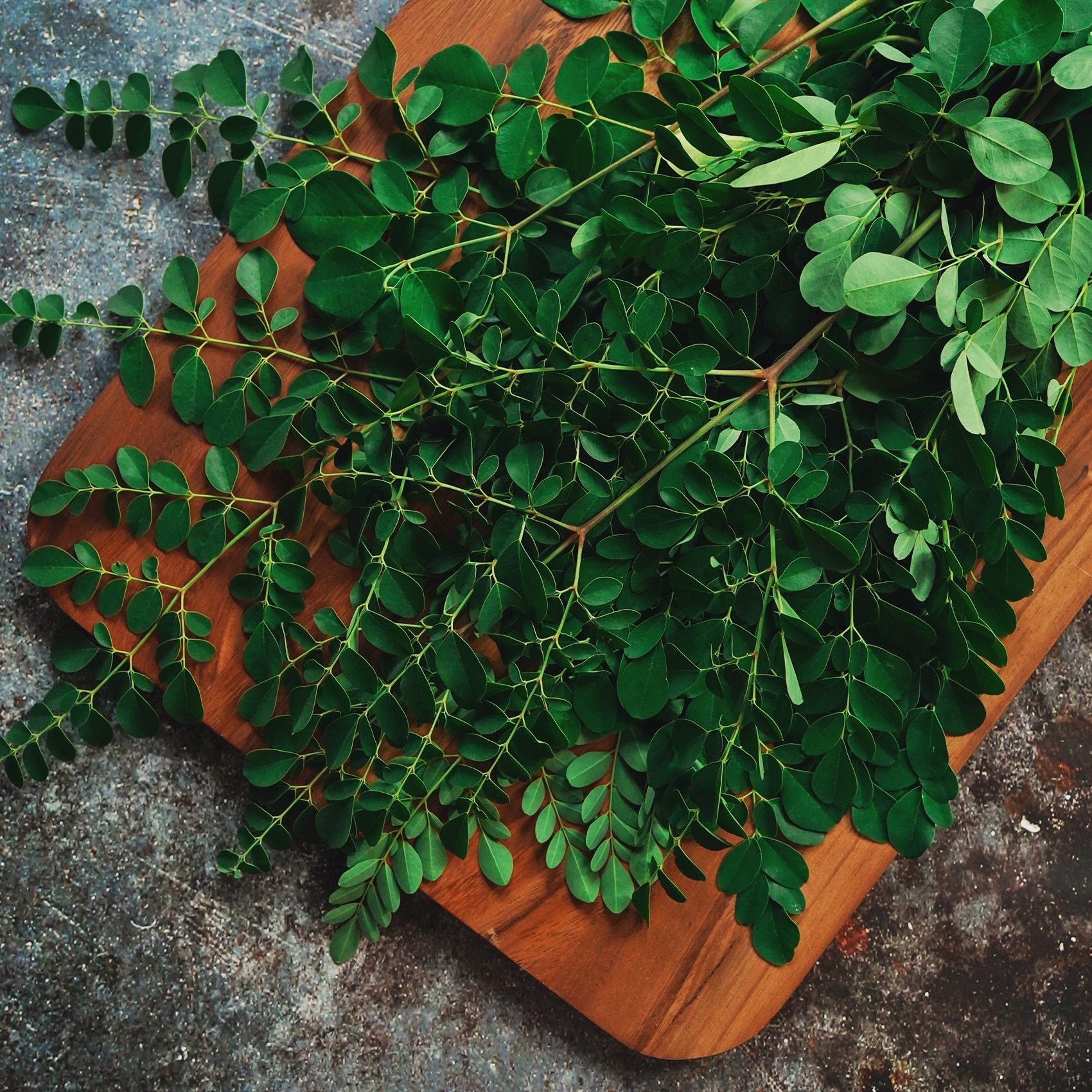 feuilles de Morinag sur une planche