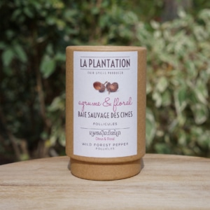 faux poivre baie de cimes