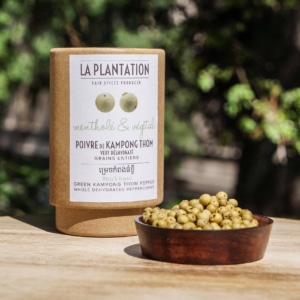 Poivre vert en grains déshydratés de la province de Kampong Thom